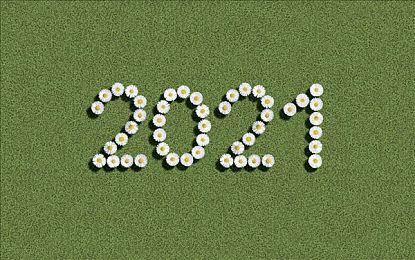 《宝可梦：朱＆紫》故勒顿和密勒顿毛绒玩具即将发售