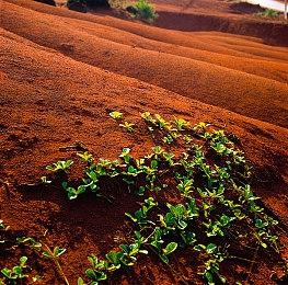 《马里奥和疯狂兔子：星耀之愿》下载大小公布 是前作的2倍多